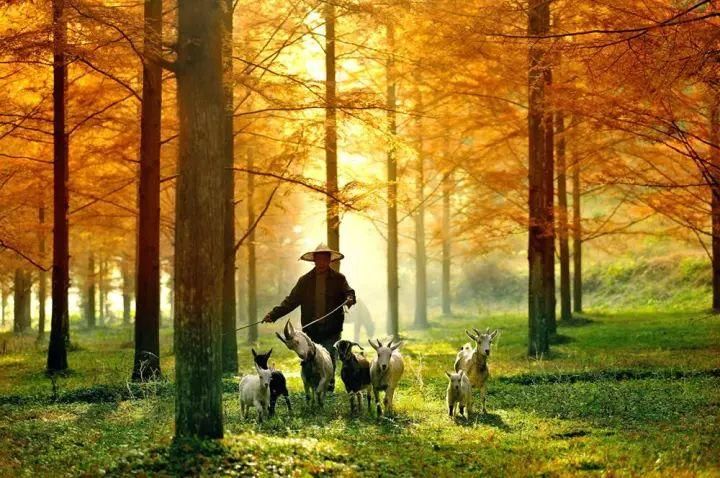 中国湖北居然隐藏了一个旷世仙境 让外国人都为它折服