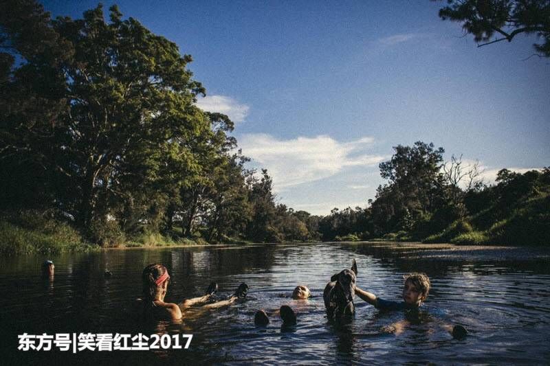 来自澳大利亚的有趣照片 来自澳洲的那些趣事，袋鼠乱穿马路，蛇