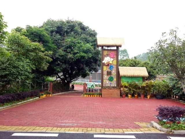 清明小长假去哪儿?广东乡村游 古村自求变,乡