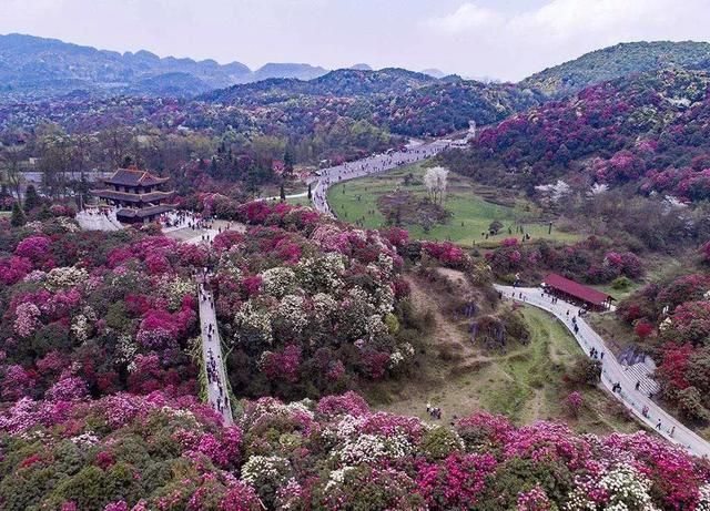 这十个地方打包了整个中国最美的春天，刷屏了朋友圈