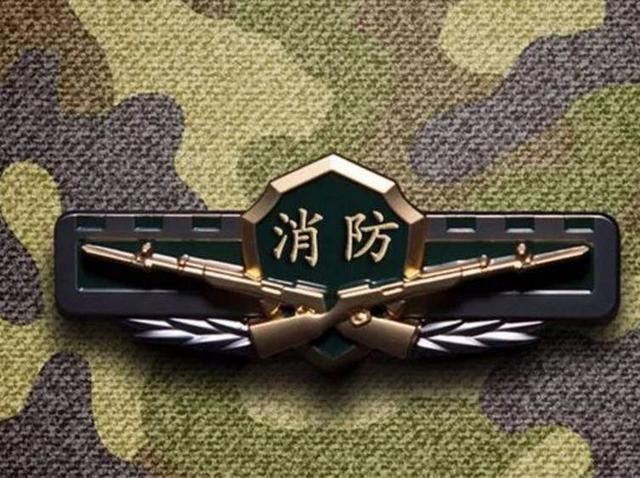 武警各警种改革转制正式定了!细数这些即将退