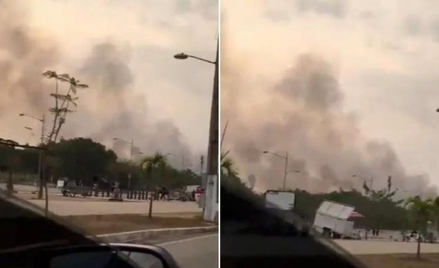 澳大利亚被烧了