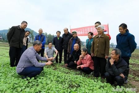 国家给农民发钱了，下月起，3笔钱几乎家家都有，农民抓紧领