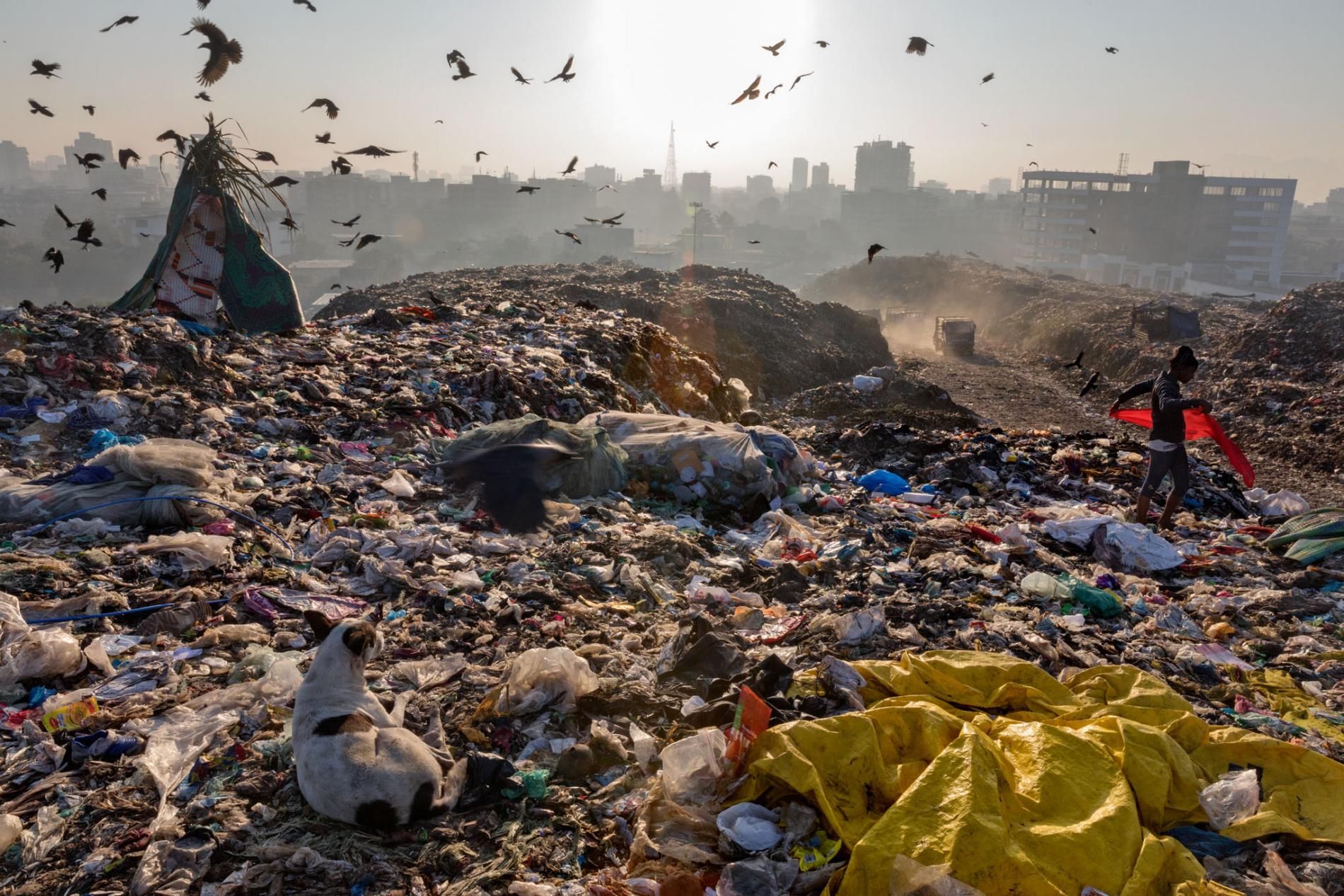 全球令人担忧塑料垃圾污染,每年900万吨流入海