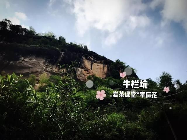t01bf32e5cbf608c1be.jpg
