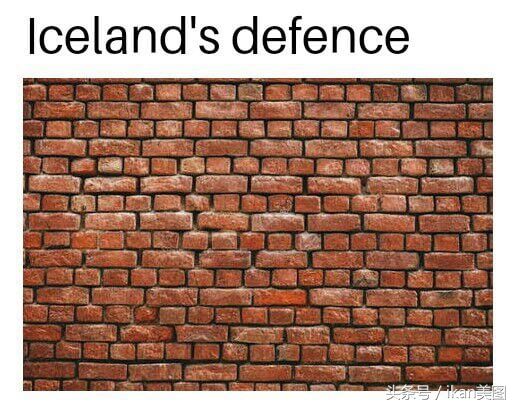 2018俄罗斯世界杯迄今为止的最佳照片:冰岛队长