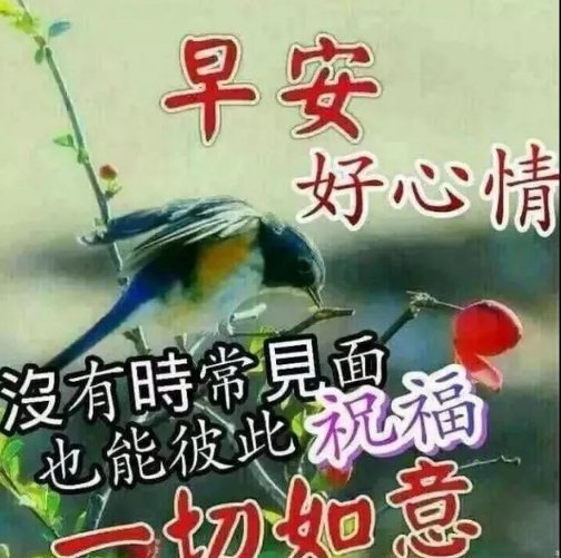 早安祝福图片冬天