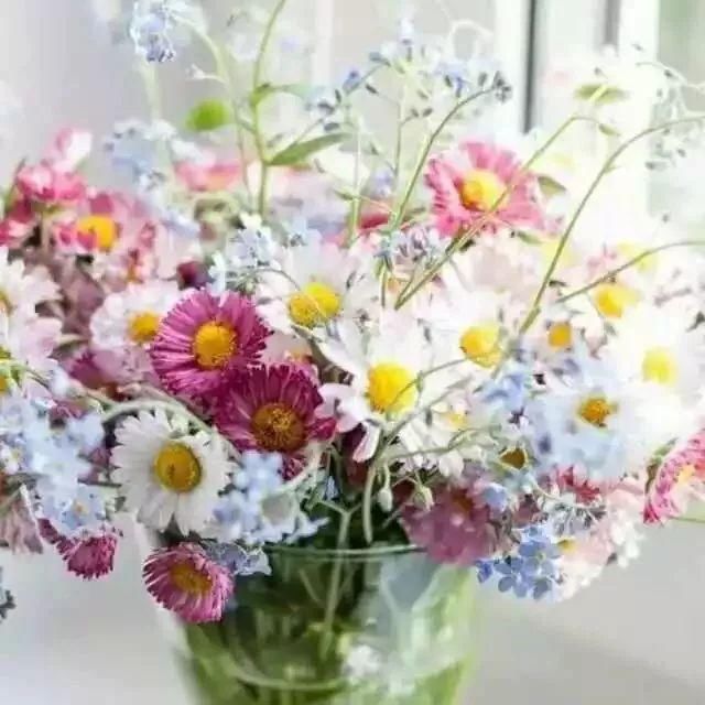 弘扬'五四精神'传承红色基因|市妇联组织开展