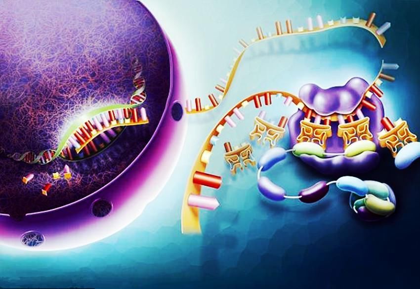 宇宙生命或已突破碳基形式?科学家首次发现砷元素生命体