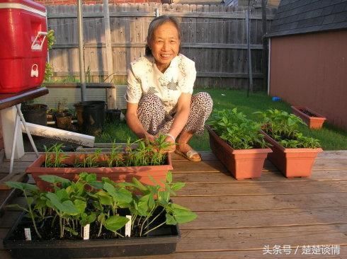 婆婆，我伺候你们4年，回娘家过次春节，你非闹的家里鸡犬不宁？