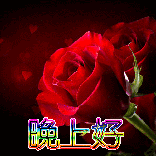 群发睡前适合晚上好美味动画a美味晚安v美味大全图片粥包表情表情包图片