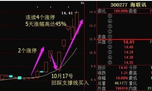 漂亮女博士自白:一旦学会换手率选股法,股市