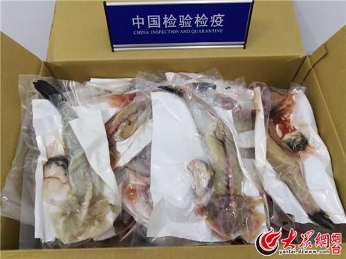 危险！烟台截获37公斤日本邮寄入境带血冰鲜河鲀