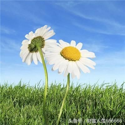 券商股或基金或是未来较高确定性的机会