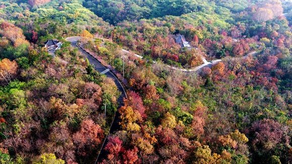 六号线南京开工