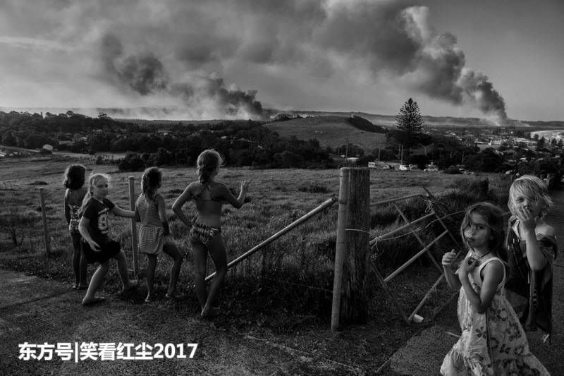 来自澳大利亚的有趣照片 来自澳洲的那些趣事，袋鼠乱穿马路，蛇