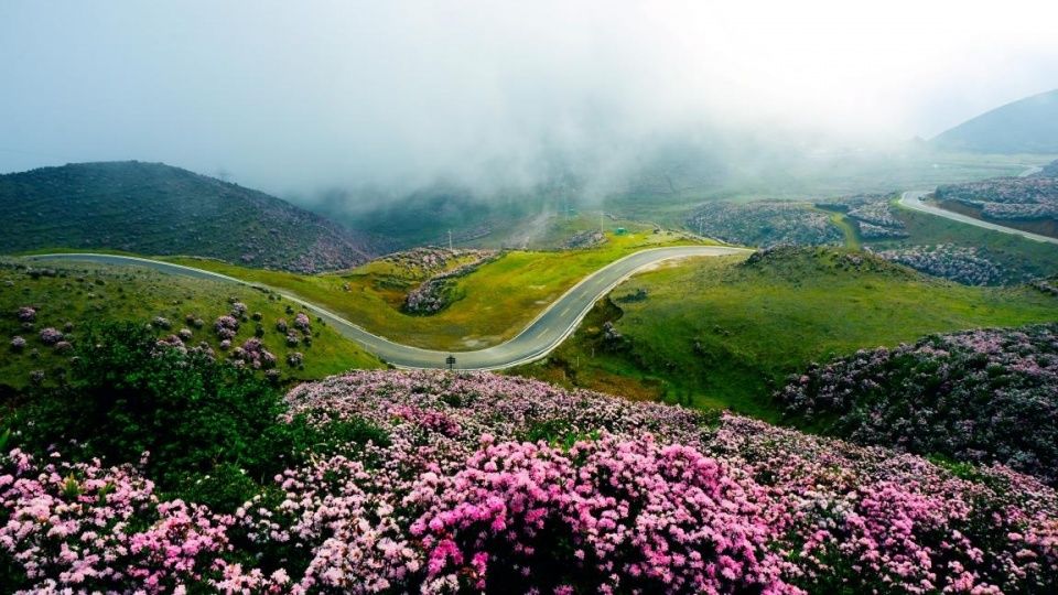 想不到!在2018中外避暑旅游目的地排名中,贵