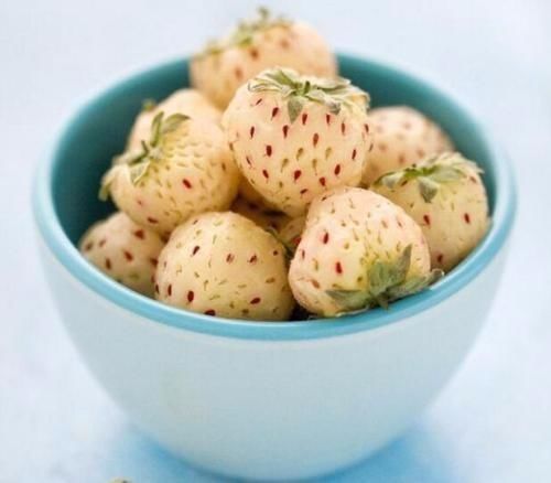 大深山里的野果菠萝莓245元RMB一公斤,很少