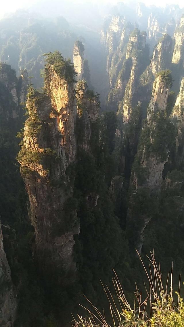 张家界五一导游电话列表,防骗必读，如何找到好导游呢?