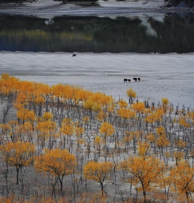 鲁布有多少人口_雅鲁藏布大峡谷入口段景区本月底正式运营