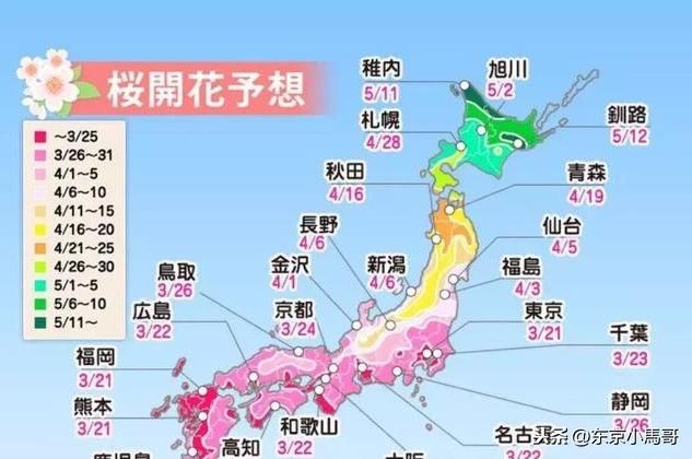 亲,您准备好了么?刚刚日本气象厅发布2019樱