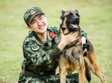 奇兵神犬杨烁受打击姜潮情绪失控 张大大夺冠