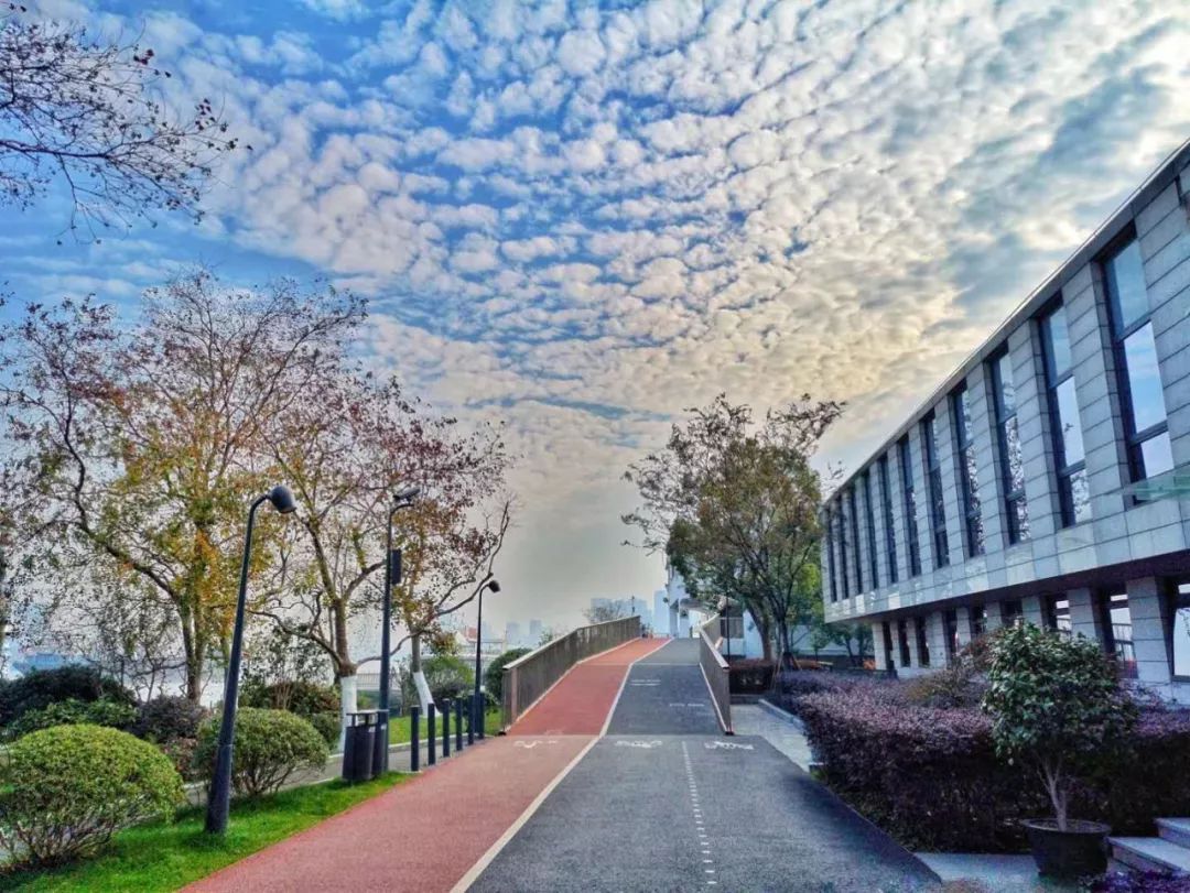 五一小长假去哪里玩?16个区79处上海好白相