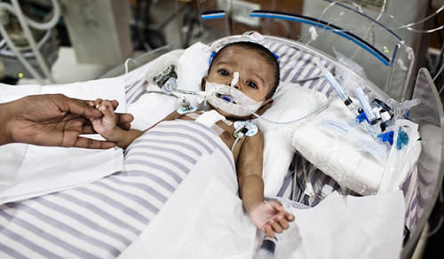 印度医院鼠患成灾,医疗水平低下,堪称恐怖