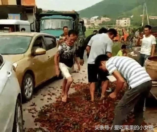 越南水果滞销,对华出口量猛增,国内滞销却扔掉