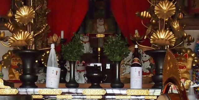 全日本最喜气的寺庙！这里有无数的招财猫亲自坐镇