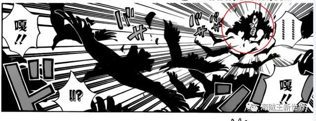 海贼王漫画904分析：革命军为何选择这时候宣战 尾田隐藏二十年的铺垫