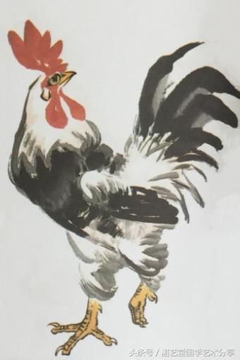 徐湛一步步教您画大鸡大公鸡的画法