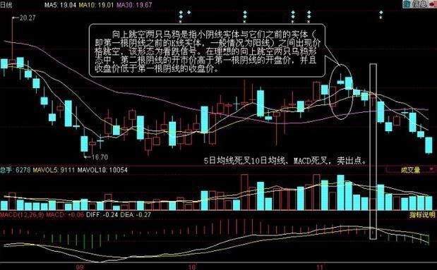 中国股市进入“寒冬时代”，庄家能够保护股民？