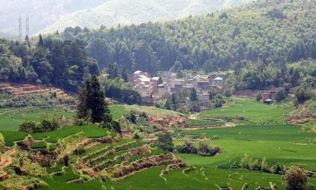 浙江丽水庆元旅游攻略|诗画莲湖,静等你来!