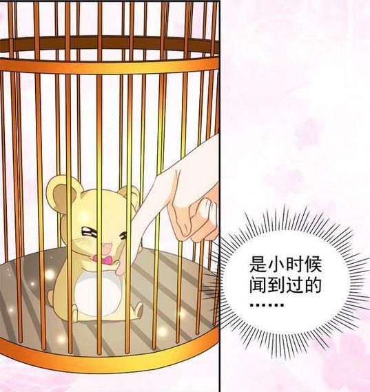 搞笑耽美漫画:《男友宠物》,你情趣我命中注定+sm就是小游戏图片