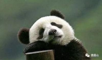 旅游攻略清明小长假去哪里?这个宝典告诉你