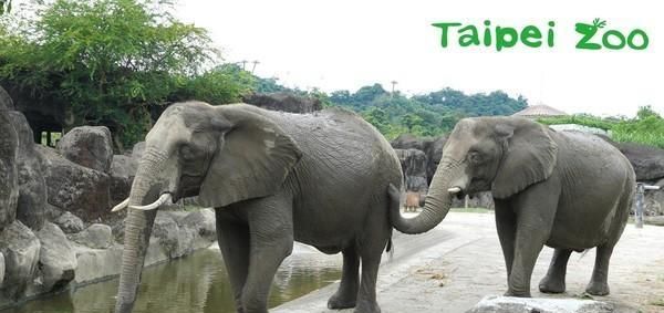 千万别做保育员