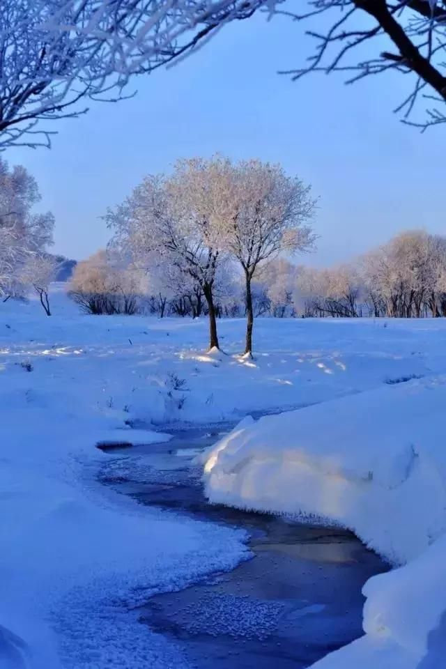 实拍张家口草原天路大雪，这样的寂静你见过吗