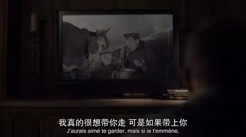 和母牛做了各种浪漫事后,他火了 丨毒药推荐