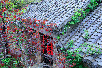 山东临沂:沂南县竹泉村旅游区_【快资讯】