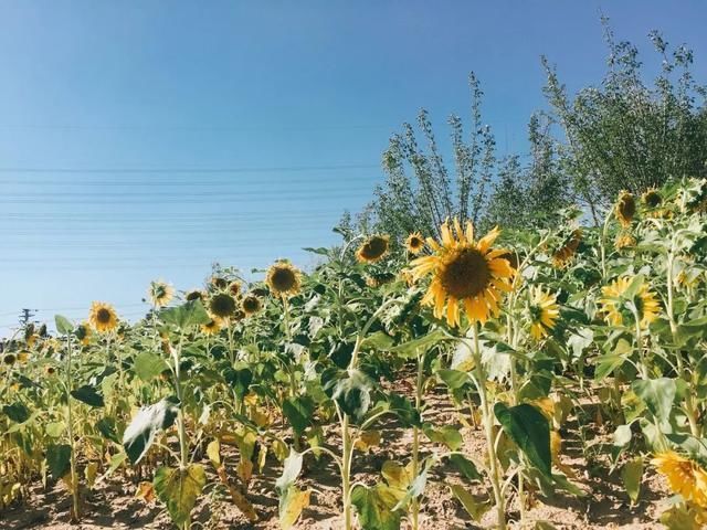 无锡为何惹台风频频来袭?是偏爱吗?