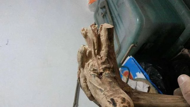 农村中的一些东西,借了是不能还的,这些都要记住了! - 武汉老徐 - 武汉老徐的博客 农村中的一些东西,借了是不能还的,这些都要记住了! - 武汉老徐 - 武汉老徐的博客
