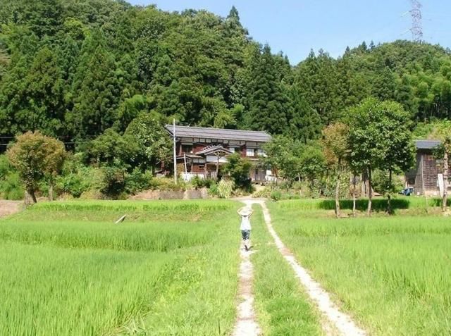 为什么有人说日本的农村比城市富裕?是真的吗