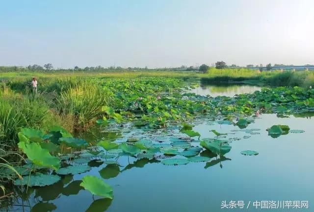 喜讯：西延高铁洛川、甘泉、宜君恢复设站！今年全线开工！