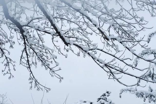 长春预计有暴雪