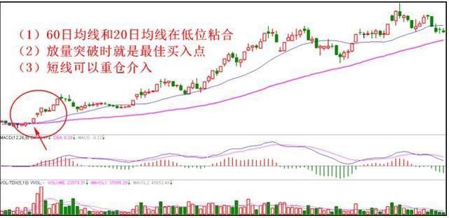 中国股市的本质：散户唯有选股才能存活下去!