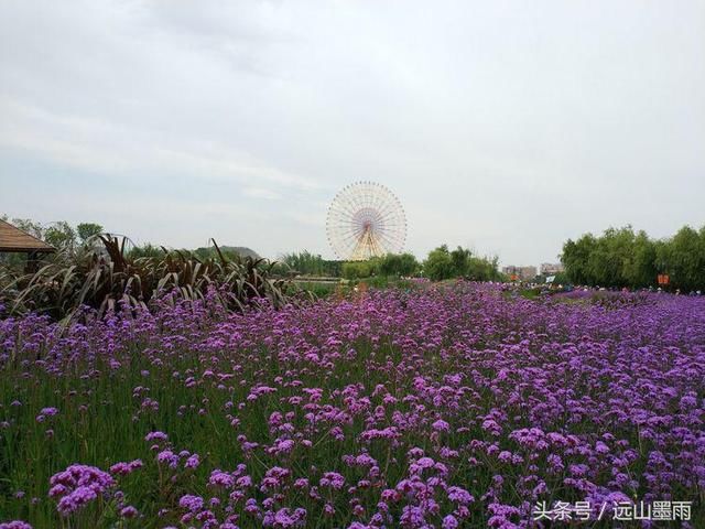 滇池湖畔古滇国，郑和故里展新颜