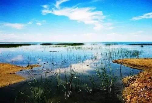 海鸥去哪儿？原来昆明不是红嘴鸥的老家