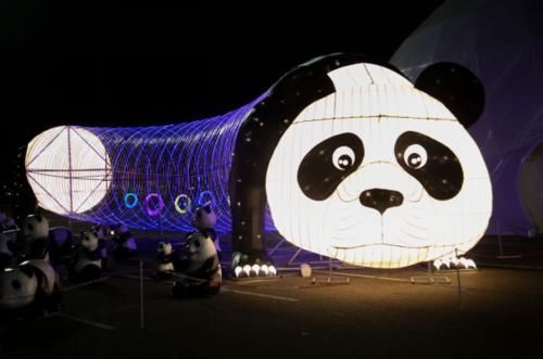 panda是中国的吗
