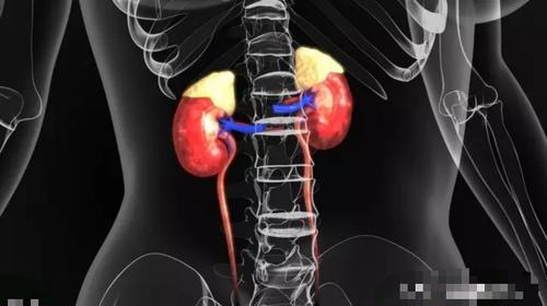 男性有这些表现,可能是阴虚火旺,要及时发现